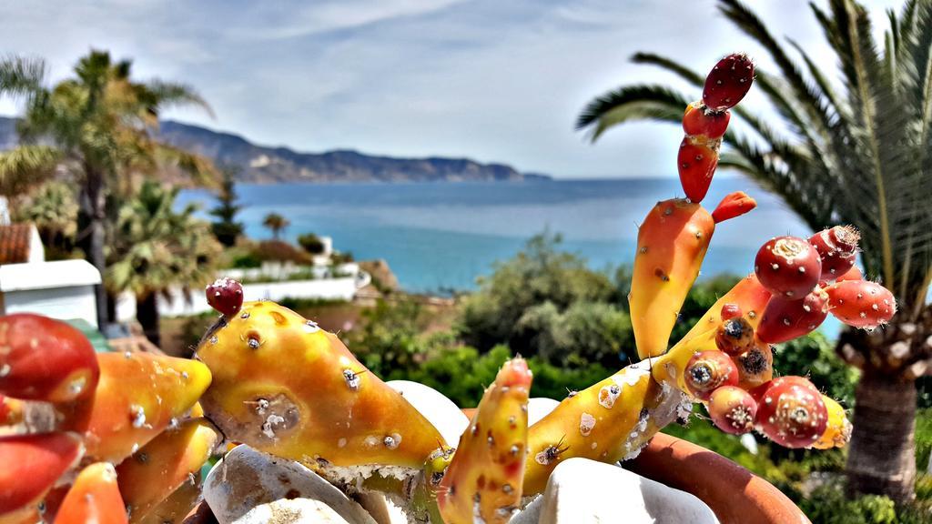 Villa Carabeo Nerja Bagian luar foto